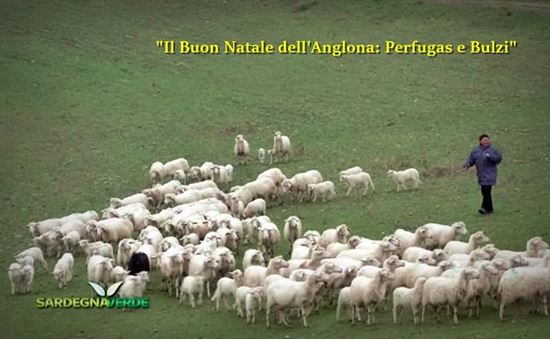 perfugas e bulzi