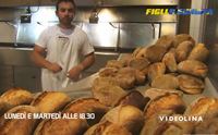la filiera del grano