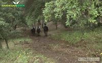 a cavallo a villavidro