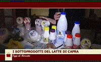 oggi al mercato 2017 13 marzo