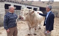 sardegna verde a domusnovas