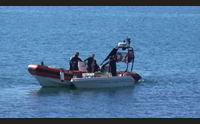 pesca abusiva ricci giro di vite della capitaneria di portoscuso