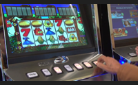gioco d azzardo in sardegna allarme una piaga che distrugge la vita