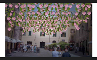antonio marras veste alghero di rosa per il giro d italia