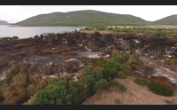 alghero al via la bonifica del camping distrutto da un incendio