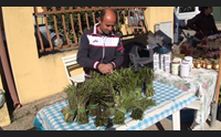 gesturi la giornata verde protagonisti gli asparagi in cucina