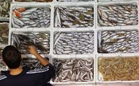 il mercato del pesce