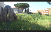 alghero la borgata di fertilia rinasce con il meeting del cinema