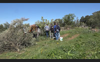 dorgali biodiversit