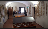 ad ales in mostra le palme intrecciate tradizione da conservare
