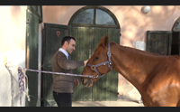 cagliari aspettando sant efisio lezioni di equitazione per l alternos