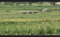 parte l irrigazione in marmilla boccata d ossigeno per i campi