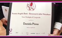 vinitaly 2017 verona parte 1