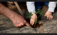a nuoro il forum sull agricoltura sociale rinati grazie al lavoro