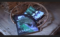 domusnovas da scoprire per sulcis iglesiente in fiore