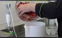 sardegna verde 2017 puntata 18 olbia 7 05 2017