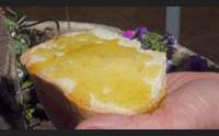 escolca scommette su olio e pane per il rilancio dell agricoltura