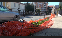 sassari la pista ciclabile dentro l ippodromo convivenza impossibile