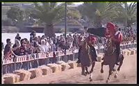 palio san simplicio 2017 parte 1 olbia 14 05 2017