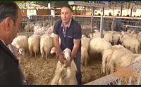 innovazione formazione e informazione il patto delle fiere agricole parte 1 19 05 2017