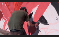 masullas un nuovo volto al paese con la street art