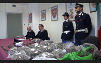 olbia coca hascish e marijuana per 150 mila euro arrestato dalla polizia