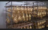 bortigali l agroalimentare presente e futuro dei piccoli comuni