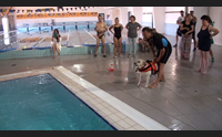 lunamatrona esperti da tutta europa sul futuro della pet therapy