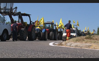 la coldiretti blocca la 131 regione immobile l agricoltura muore