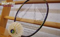 gli strumenti di gioco del badminton