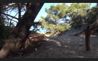 alghero consulta giovani ripuliamo la pineta per dare il buon esempio