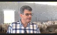 ovis 2017 puntata 3
