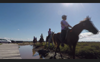 arborea endurance festival cavalli e natura conquistano gli sceicchi
