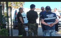 olbia caldo torrido allarme per la fauna selvatica e gli animali