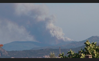 budoni l incendio distrugge 800 ettari un disastro ambientale