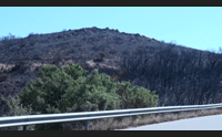 al dei sardi in ginocchio l incendio ha devastato oltre 1700 ettari