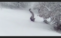 dalla neve record alla sete sul gennargentu emergenza siccit