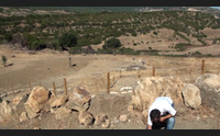 genoni un dente di coccodrillo riscrive la geologia del sarcidano