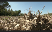 emergenza siccit la regione domani a roma per nuove risposte