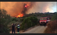 il maestrale aiuta gli incendiari decine di roghi in tutta l isola
