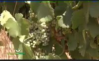 sardegna verde 2017 puntata 30 parte 2 cagliari e parteolla 30 07 2017