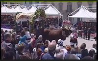 cavalcata sarda 2017 puntata 3 parte 2 sintesi