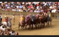 siena al palio dell assunta fantini sardi attesi protagonisti