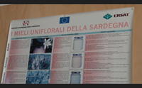 emergenza siccit il miele sardo ko crolla la produzione