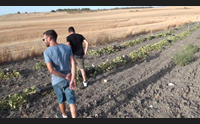 la crisi del melone in asciutto in marmilla vince la siccit