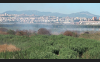 molentargius l incendio infinito aria irrespirabile da 20 giorni