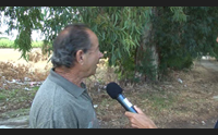 oristano cartolina dalle frazioni ci sentiamo abbandonati