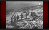 villanovafranca la festa della madonna voto fatto in guerra
