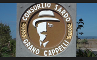 consorzio sardo capelli non possiamo pi certificare il nostro grano