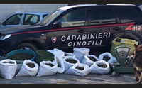 iglesias sequestrati 100 chili di marijuana arrestati cinque giovani